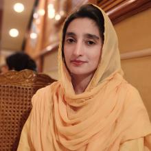 Profile pic of Rahat ul Ain